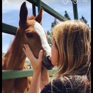 Meet your Posher, Jodi